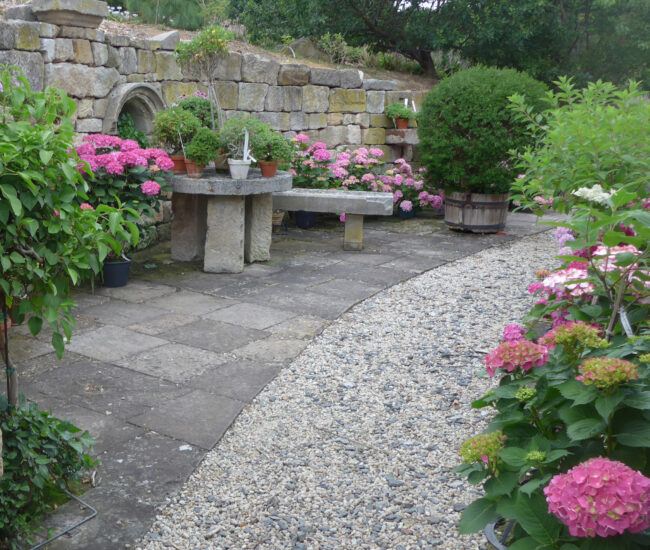 01 Hortensien im Pelargonienhof,